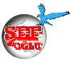 SEFOGLU LTD