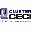 CLUSTER CECI SL