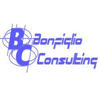 BONFIGLIO CONSULTING