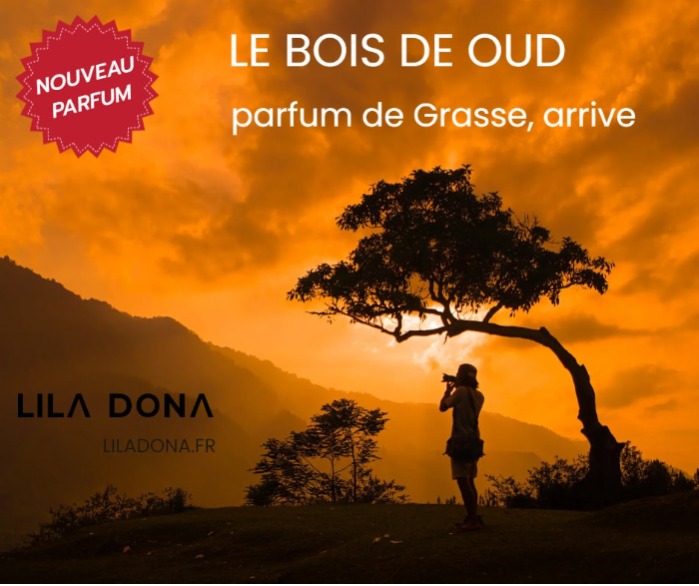 Le bois de Oud, parfum de Grasse arrive