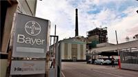 Soluciones de Combustión sustituye una caldera de Bayer 