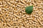 Wood Pellets