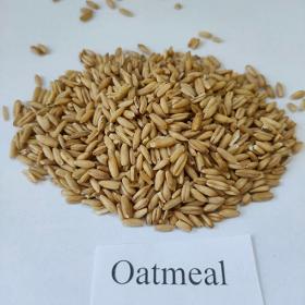 Oatmeal